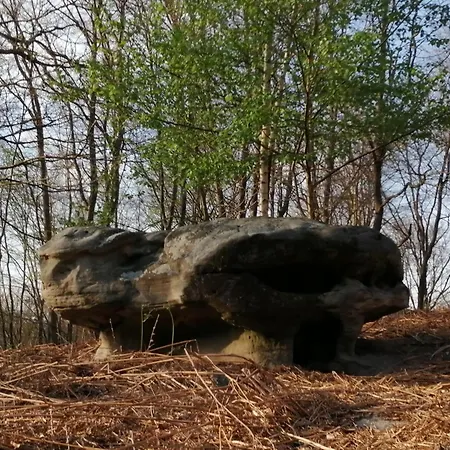 Bed and breakfast Ma Gentilhommiere Croutoy