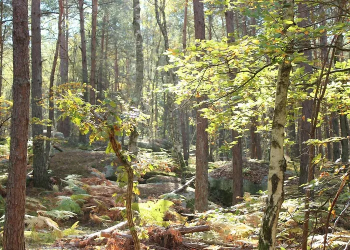 Couette-café Ma Gentilhommière 3*